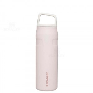 Gourdes Stanley IceFlow™ AeroLight™ with Cap and Carry+ Lid | 24 OZ | France_S1286