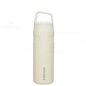 Gourdes Stanley IceFlow™ AeroLight™ with Cap and Carry+ Lid | 24 OZ | France_S1633