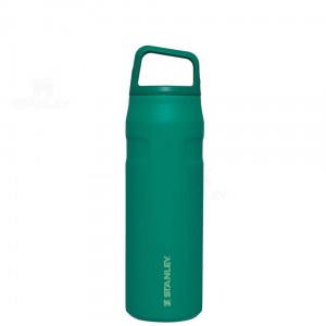 Gourdes Stanley IceFlow™ AeroLight™ with Cap and Carry+ Lid | 24 OZ | France_S1142