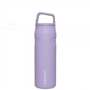 Gourdes Stanley IceFlow™ AeroLight™ with Cap and Carry+ Lid | 24 OZ | France_S1199