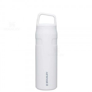 Gourdes Stanley IceFlow™ AeroLight™ with Cap and Carry+ Lid | 24 OZ | France_S1871