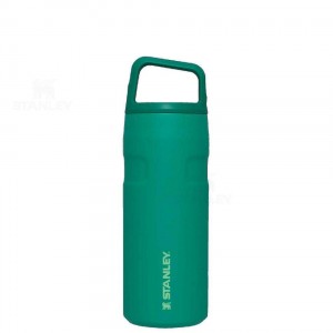 Gourdes Stanley IceFlow™ AeroLight™ with Cap and Carry+ Lid | 16 OZ | France_S1594