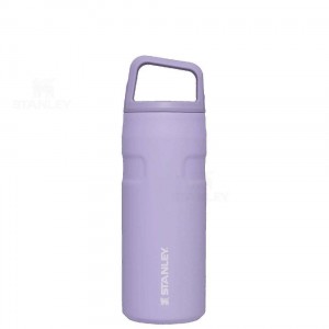 Gourdes Stanley IceFlow™ AeroLight™ with Cap and Carry+ Lid | 16 OZ | France_S1581