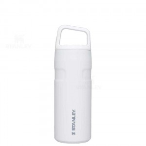 Gourdes Stanley IceFlow™ AeroLight™ with Cap and Carry+ Lid | 16 OZ | France_S1469