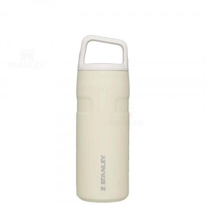 Gourdes Stanley IceFlow™ AeroLight™ with Cap and Carry+ Lid | 16 OZ | France_S1809