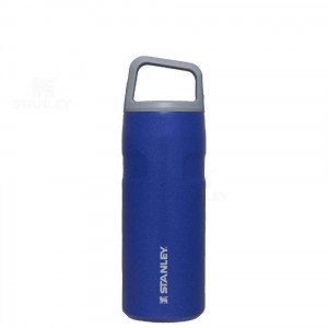 Gourdes Stanley IceFlow™ AeroLight™ with Cap and Carry+ Lid | 16 OZ | France_S1453