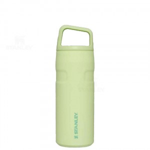 Gourdes Stanley IceFlow™ AeroLight™ with Cap and Carry+ Lid | 16 OZ | France_S1890