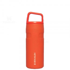Gourdes Stanley IceFlow™ AeroLight™ with Cap and Carry+ Lid | 16 OZ | France_S1608