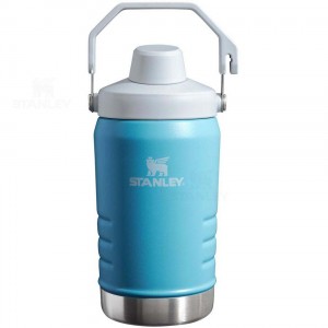 Gourdes Stanley IceFlow™ Jug with Fast Flow Lid | 40 OZ | France_S1172