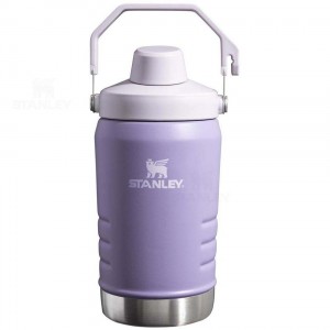 Gourdes Stanley IceFlow™ Jug with Fast Flow Lid | 40 OZ | France_S1240