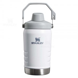 Gourdes Stanley IceFlow™ Jug with Fast Flow Lid | 40 OZ | France_S1630