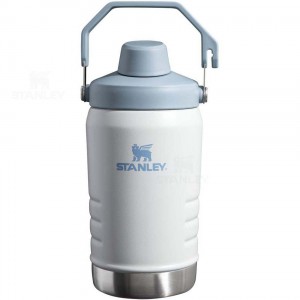 Gourdes Stanley IceFlow™ Jug with Fast Flow Lid | 40 OZ | France_S2294