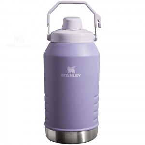 Gourdes Stanley IceFlow™ Jug with Fast Flow Lid | 96 OZ | France_S2059