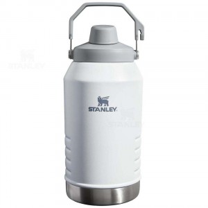 Gourdes Stanley IceFlow™ Jug with Fast Flow Lid | 96 OZ | France_S1674