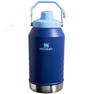Gourdes Stanley IceFlow™ Jug with Fast Flow Lid | 96 OZ | France_S2380
