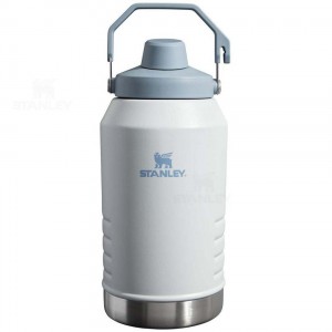 Gourdes Stanley IceFlow™ Jug with Fast Flow Lid | 96 OZ | France_S1991