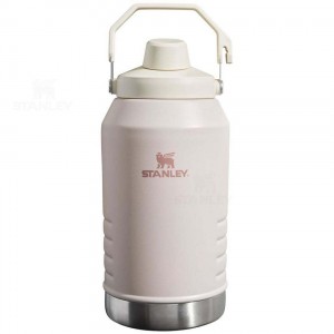 Gourdes Stanley IceFlow™ Jug with Fast Flow Lid | 96 OZ | France_S1198