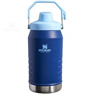 Gourdes Stanley IceFlow™ Jug with Fast Flow Lid | 64 OZ | France_S1577