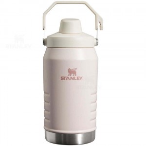 Gourdes Stanley IceFlow™ Jug with Fast Flow Lid | 64 OZ | France_S1222