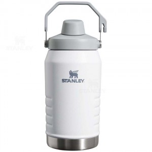 Gourdes Stanley IceFlow™ Jug with Fast Flow Lid | 64 OZ | France_S1348