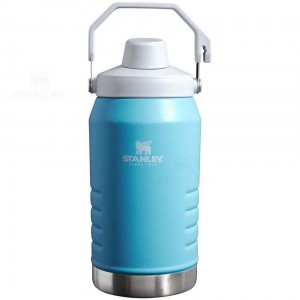 Gourdes Stanley IceFlow™ Jug with Fast Flow Lid | 64 OZ | France_S1349