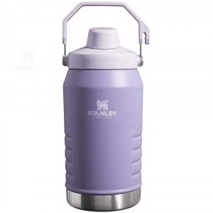 Gourdes Stanley IceFlow™ Jug with Fast Flow Lid | 64 OZ | France_S1943