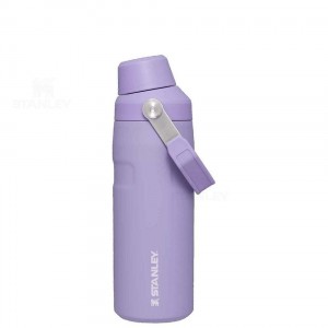 Gourdes Stanley IceFlow™ with Fast Flow Lid | 16 OZ | France_S1856