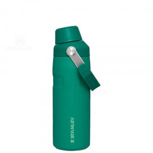 Gourdes Stanley IceFlow™ with Fast Flow Lid | 16 OZ | France_S1341