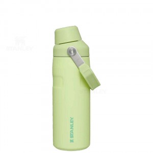 Gourdes Stanley IceFlow™ with Fast Flow Lid | 16 OZ | France_S1362