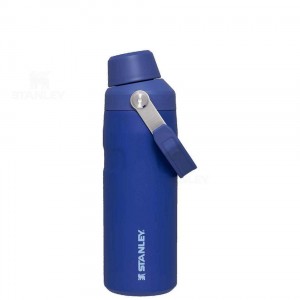 Gourdes Stanley IceFlow™ with Fast Flow Lid | 16 OZ | France_S1562