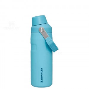 Gourdes Stanley IceFlow™ with Fast Flow Lid | 16 OZ | France_S2382