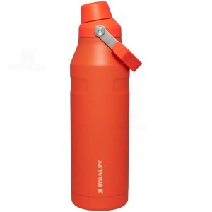 Gourdes Stanley IceFlow™ with Fast Flow Lid | 50 OZ | France_S1448