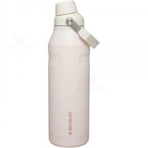 Gourdes Stanley IceFlow™ with Fast Flow Lid | 50 OZ | France_S2289