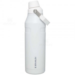 Gourdes Stanley IceFlow™ with Fast Flow Lid | 50 OZ | France_S2229