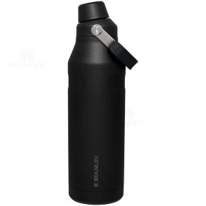 Gourdes Stanley IceFlow™ with Fast Flow Lid | 50 OZ | France_S1550