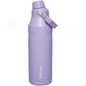 Gourdes Stanley IceFlow™ with Fast Flow Lid | 50 OZ | France_S1401