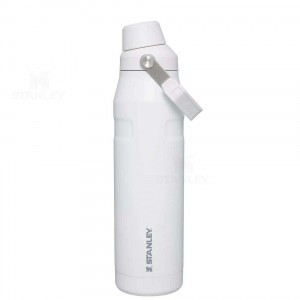Gourdes Stanley IceFlow™ with Fast Flow Lid | 36 OZ | France_S1487