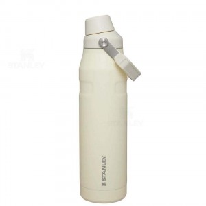 Gourdes Stanley IceFlow™ with Fast Flow Lid | 36 OZ | France_S1388