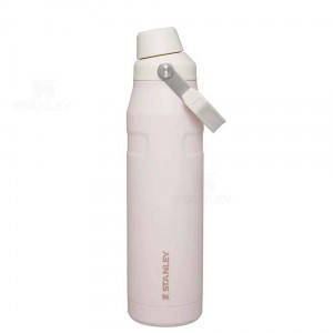 Gourdes Stanley IceFlow™ with Fast Flow Lid | 36 OZ | France_S1896