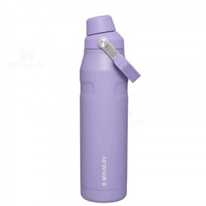 Gourdes Stanley IceFlow™ with Fast Flow Lid | 36 OZ | France_S2395