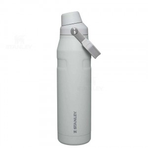 Gourdes Stanley IceFlow™ with Fast Flow Lid | 36 OZ | France_S1981