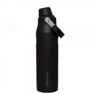 Gourdes Stanley IceFlow™ with Fast Flow Lid | 36 OZ | France_S1473