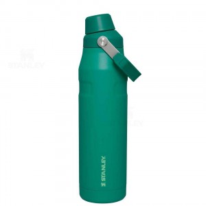 Gourdes Stanley IceFlow™ with Fast Flow Lid | 36 OZ | France_S1915