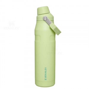 Gourdes Stanley IceFlow™ with Fast Flow Lid | 36 OZ | France_S1363