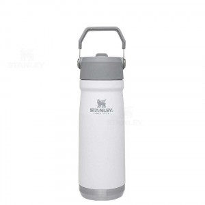 Gourdes Stanley The IceFlow Flip Straw | 22 OZ | France_S1885