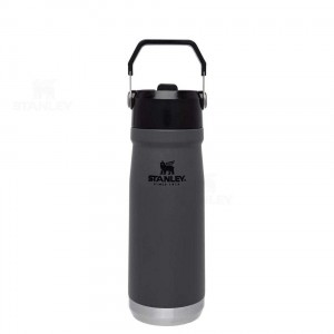 Gourdes Stanley The IceFlow Flip Straw | 22 OZ | France_S1569