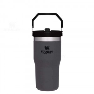 Gourdes Stanley The IceFlow Flip Straw | 20 OZ | France_S1599