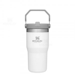 Gourdes Stanley The IceFlow Flip Straw | 20 OZ | France_S2313
