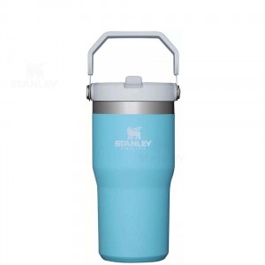Gourdes Stanley The IceFlow Flip Straw | 20 OZ | France_S1999