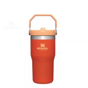 Gourdes Stanley The IceFlow Flip Straw | 20 OZ | France_S2104